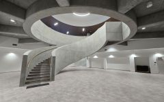 Collegium Orthopaedicum