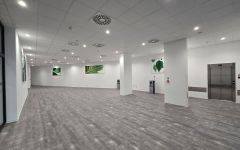Collegium Orthopaedicum